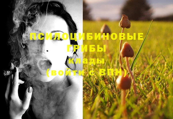 марки nbome Алзамай