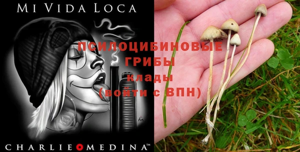 а пвп мука Алексин